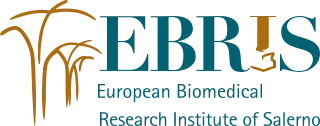 European Biomedical Research Institute of Salerno (EBRIS)